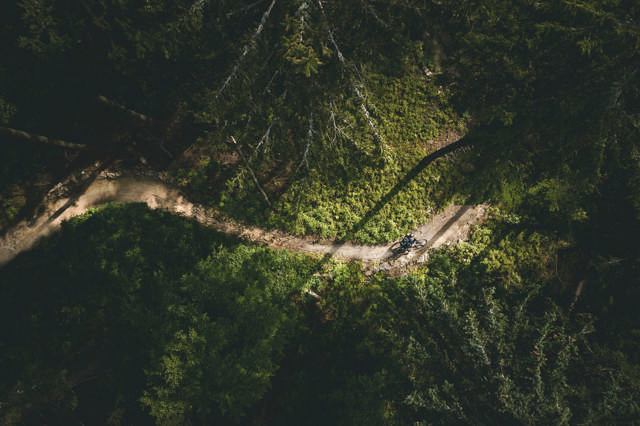 Domane Women's SL 6 MAIN